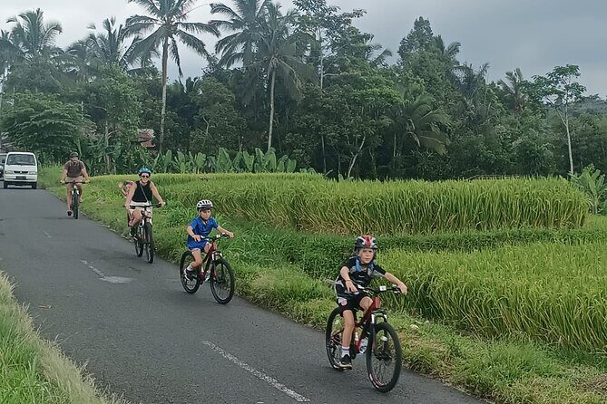 Ubud Cultural and Educational Downhill Cycling Tour - Authentic Experience and Real Value