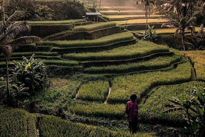 Ubud Customized Full Day Tour - Visit Most favorite In Ubud - Frequently Asked Questions
