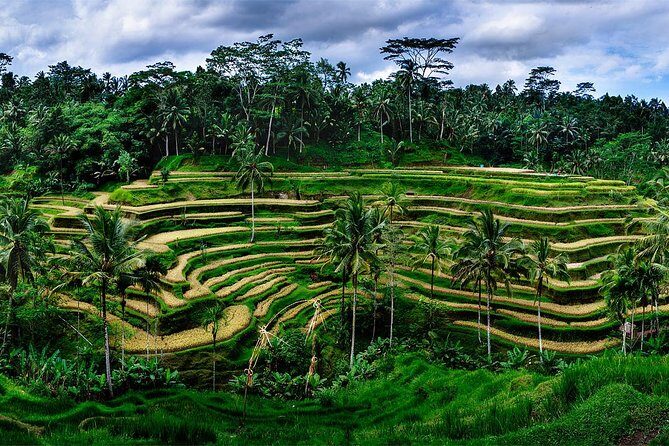 Ubud Customized Tour All-Inclusive - Key Points