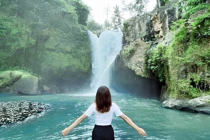 Ubud Day Tour: Sacred Monkey Forest, Tegenungan Waterfall, Rice Terrace - Why Choose This Ubud Day Tour?