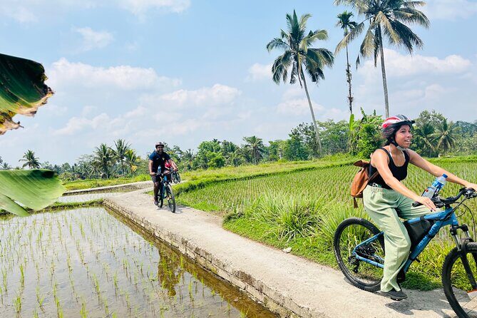 Ubud eBikes Tour to Tegallalang Rice Terrace - An In-Depth Look at the Experience