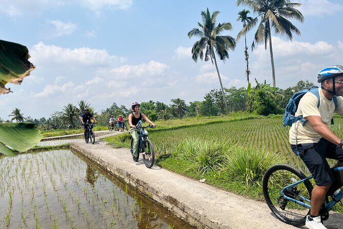 Ubud eBikes Tour to Tegallalang Rice Terrace - FAQ
