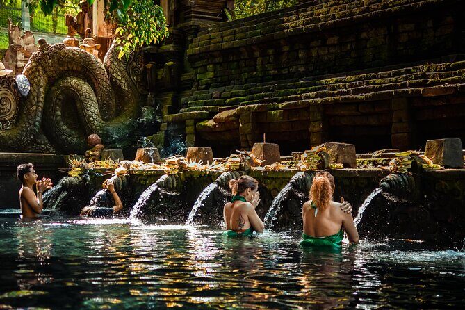 Ubud Experience | Full Day Private Tour in Ubud | FREE WIFI - Comprehensive Review of the Ubud Experience Tour