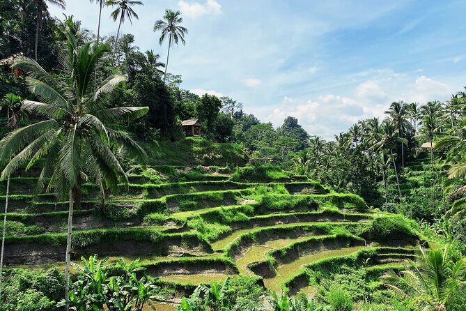 Ubud Experience | Full Day Private Tour in Ubud | FREE WIFI - FAQ