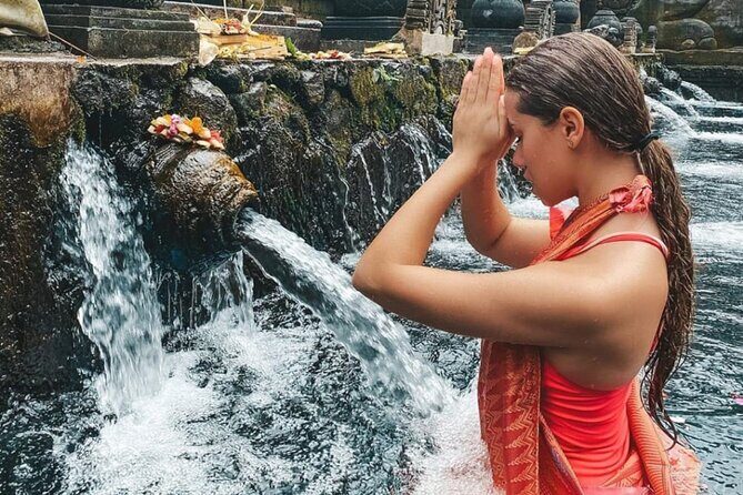 Ubud Full Day All Inclusive Tour - Private Experienece - The Value: Does the Price Match the Experience?