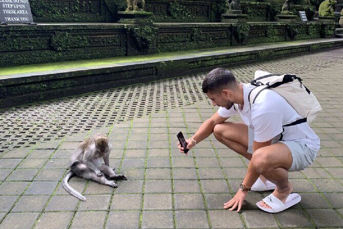 Ubud Full Day All Inclusive Tour - Private Experienece - The Sum Up