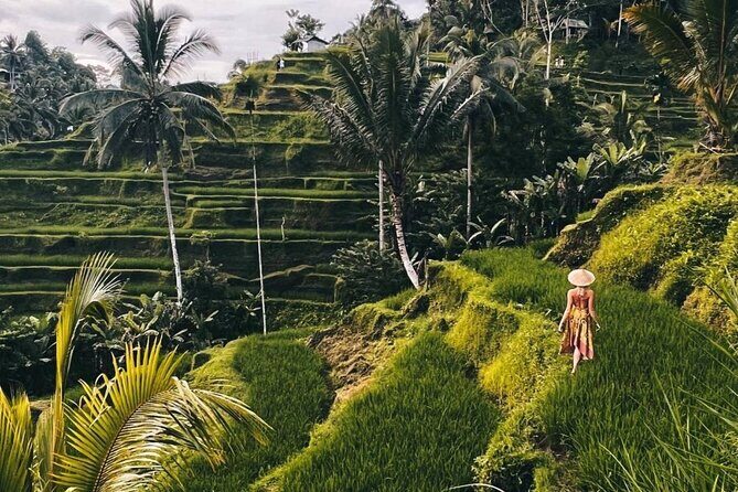 Ubud Full Day All Inclusive Tour - Private Experienece - FAQ
