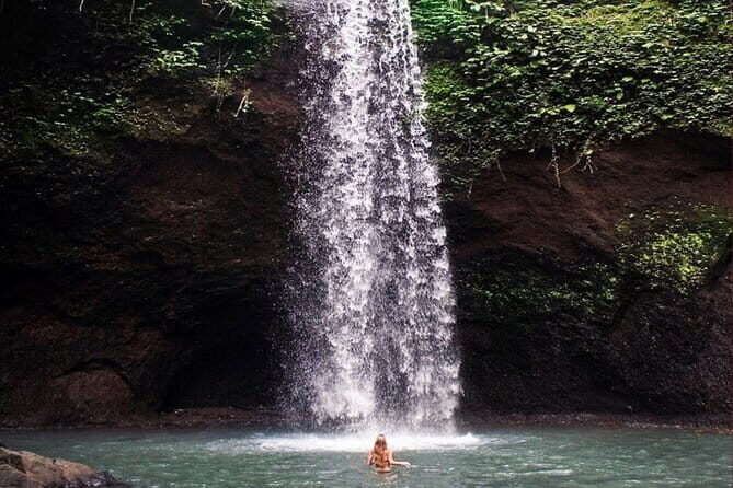 Ubud Full Day - Monkey Forest, Temple and Waterfalls Tour - The Sum Up