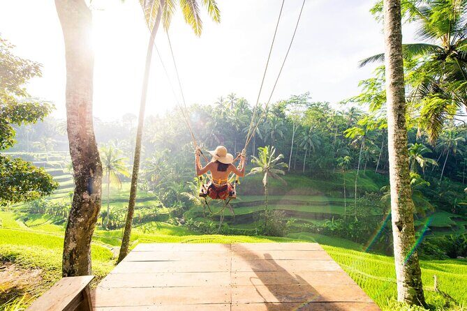 Ubud Full Day Tour Waterfall Monkey Forest Rice Terrace - The Practicalities: What You Need to Know