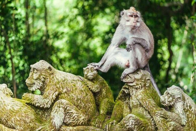 Ubud Full Day Tour Waterfall Monkey Forest Rice Terrace - Final Thoughts