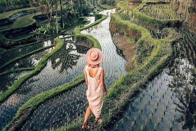 Ubud Highlights -Private Tour,Temples, Waterfalls & Rice terraces - The Itinerary: A Deep Dive