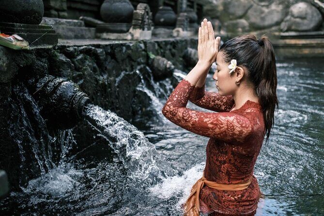 Ubud Highlights Rice Terraces, Temple, Waterfall & Monkeys forest - Key Points