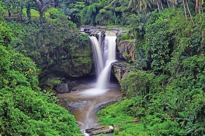 Ubud Highlights Rice Terraces, Temple, Waterfall & Monkeys forest - The Experience: What Travelers Say