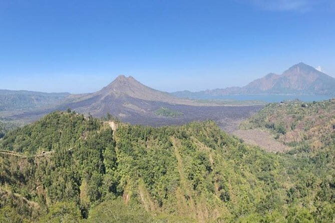 Ubud: Holy Water Temple, Volcano View, Rice Terrace, MonkeyForest - An In-Depth Look at the Ubud Tour Experience
