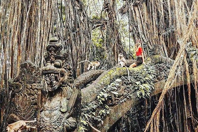 Ubud iconic waterfall and temple tours - The Sum Up