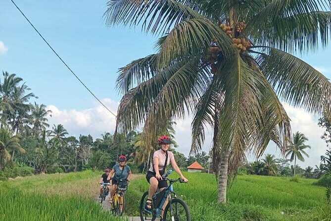 Ubud : Kintamani Downhill Cycling Tour with Lunch - Authentic Encounters and Cultural Insights