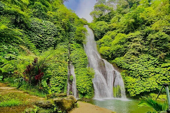 Ubud : Kintamani Downhill Cycling Tour with Lunch - The Value Proposition