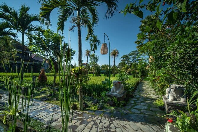 Ubud Luxury Bali Spa Package with amidst rice fields - The Treatments in Detail