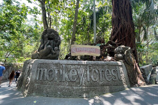 Ubud Monkey Forest Sanctuary Entrance Ticket All Inclusive - A Deep Dive into the Ubud Monkey Forest Sanctuary Tour