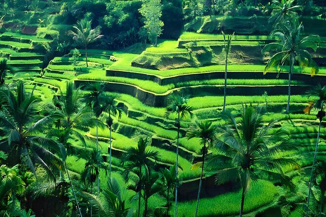 Ubud Night Half Day Trip with Legong Dance Performance - FAQs
