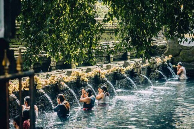 Ubud: Private Customized Highlights Tour - Final Thoughts: Who Will Love This Tour?