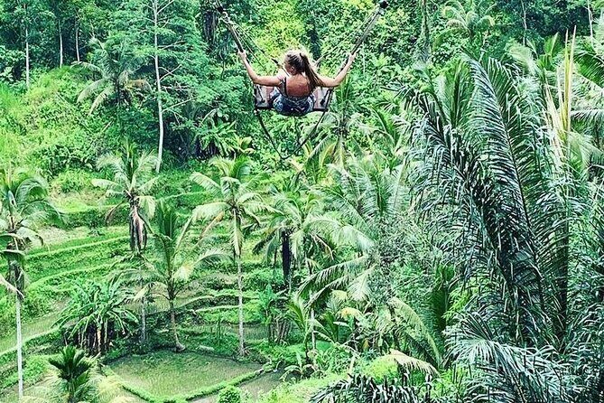 Ubud Private Tour - The Bali Aga Village: A Glimpse Into Traditional Life