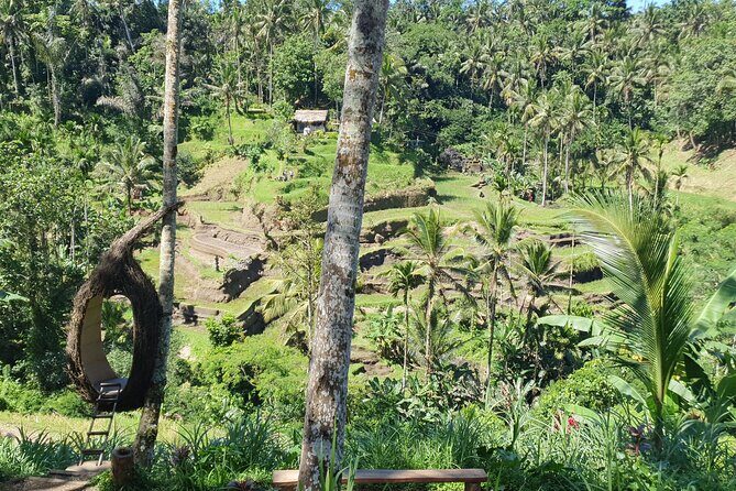 Ubud Private Tour - Tegenungan Waterfall: Bali’s Hidden Gem