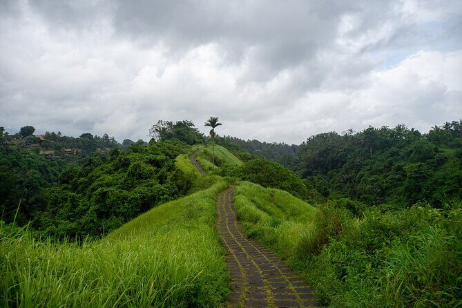 Ubud Private Tour: Monkey Forest - Tirta Empul Temple - FAQ