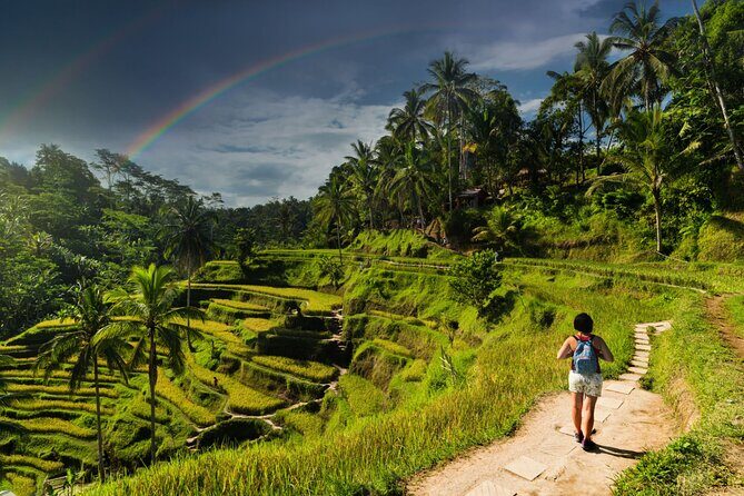 Ubud Private Tour: Monkey Forest - Tirta Empul Temple - Final Thoughts