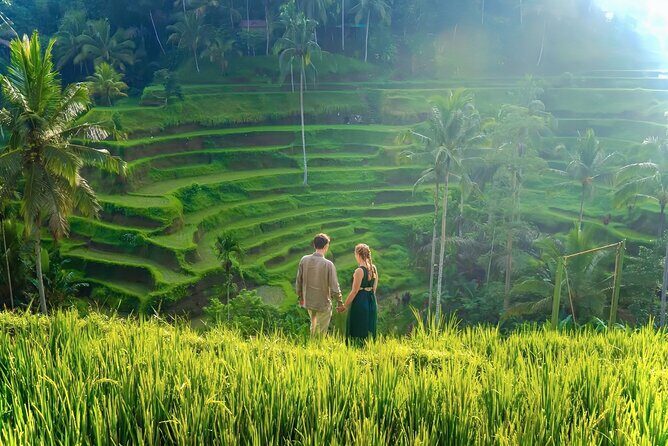 UBUD Private Tour  Rice Terrace, Jungle Swing & Hidden Waterfall - An In-Depth Look at the Ubud Private Tour
