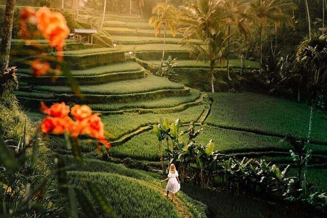 Ubud Private Tour - Waterfalls, Water Temple & Rice Terraces - Final Thoughts