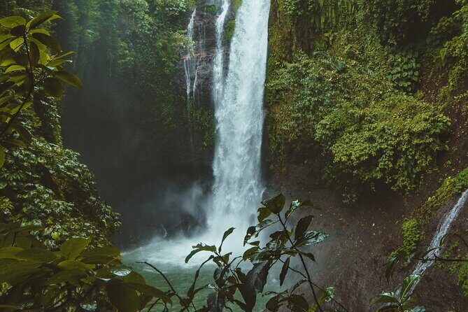Ubud private tours - An In-Depth Look at the Ubud Private Tour
