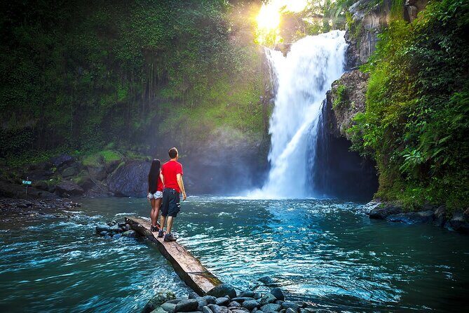 Ubud Private Tours with Jungle Swing Experience - all inclusive - Who Will Enjoy This Tour?