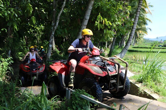Ubud Quad Bike: Best Bali ATV Ride Adventure - Introduction: Why Consider the Ubud Quad Bike Tour?