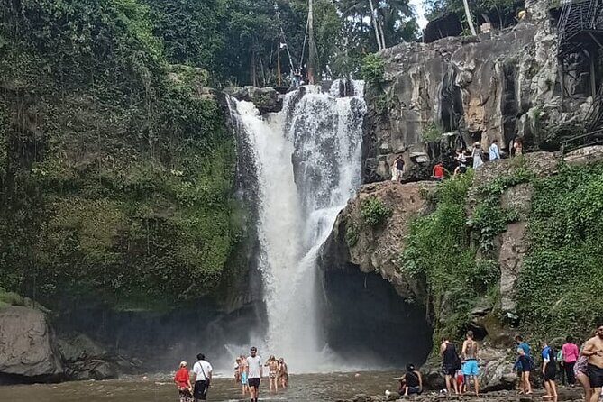 Ubud Rice Terrace Swing Waterfall Private Guided Tour - The Practicalities and What to Expect