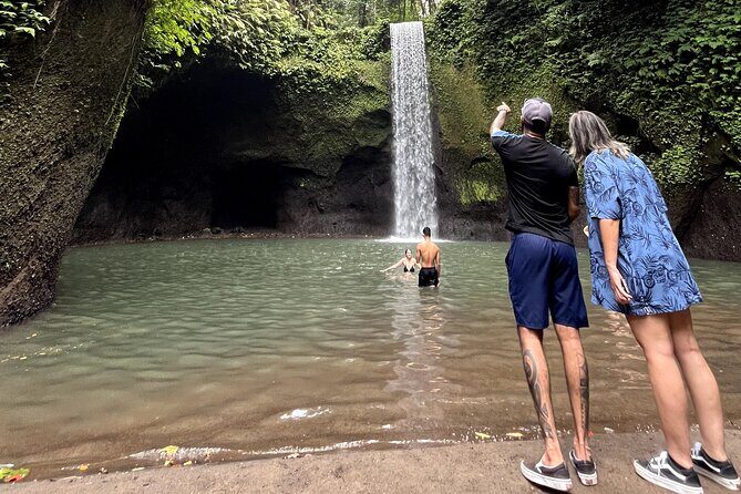 Ubud : Rice Terrace, water Temple and Waterfalls Private tour - A Detailed Look at the Itinerary