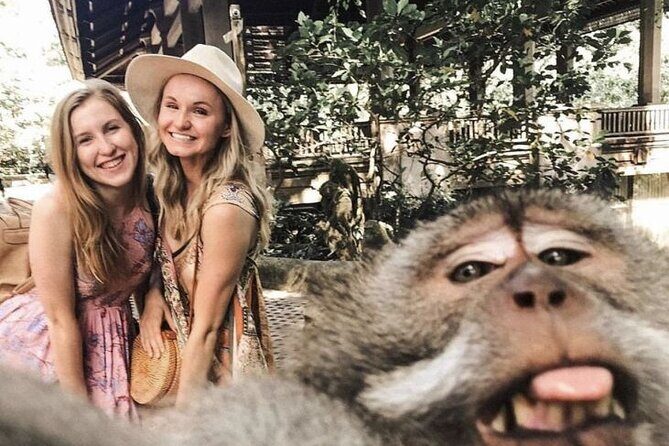 Ubud Skip the line Monkey Forest Sanctuary Ticket and Guided Tour - The Experience: A Detailed Breakdown