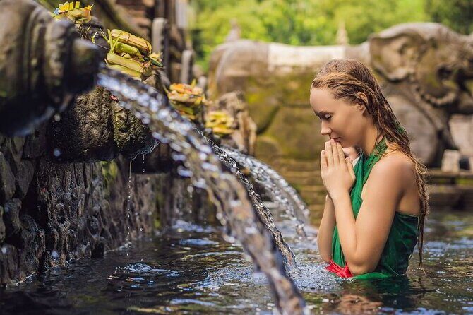 UBUD Spring Temple, Waterfall, Rice Terraces Private Tour - In The Sum Up