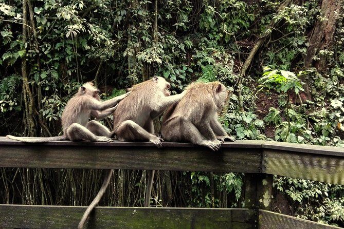 Ubud Surounding Tour - Who Is This Tour Best For?
