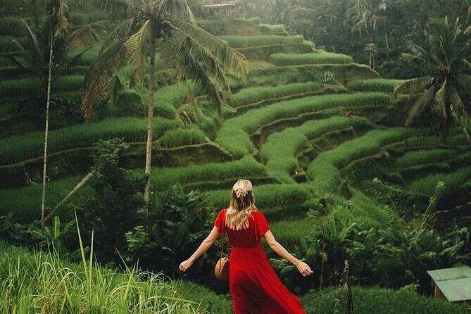 Ubud: Swing - Monkey Forest - Waterfall - Temple - Rice Terraces - Art Crafts - The Itinerary: What to Expect