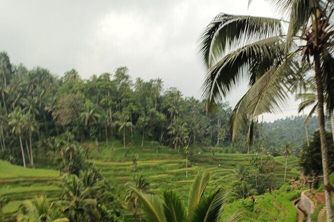 UBUD : Temple and Waterfall All Inclusive Day Tour - Considerations and Practicalities