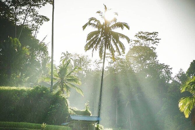 Ubud Temples, Waterfalls, Rice Terraces & Balinese Culture - Style of the Tour & What Travelers Say