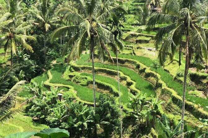 Ubud Temples, Waterfalls, Rice Terraces & Balinese Culture - The Sum Up: Is It Worth It?