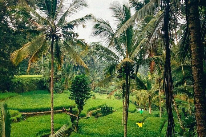 Ubud Temples, Waterfalls, Rice Terraces & Balinese Culture - FAQs