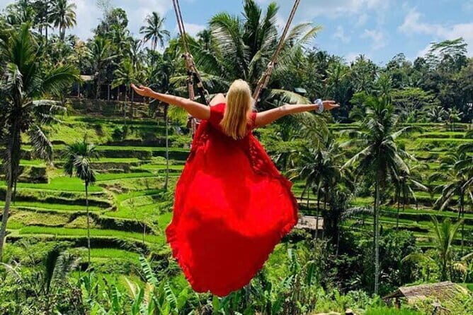 Ubud Tirta Empul Temple with Rice Terrace and Bali Jungle Swing - An Introduction to the Ubud Tour Experience