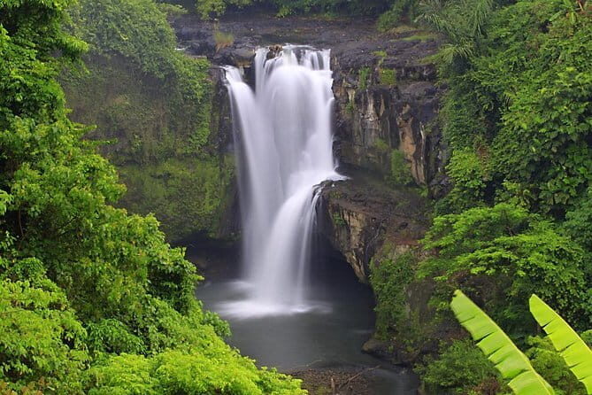 Ubud Tirta Empul Temple with Rice Terrace and Bali Jungle Swing - FAQ