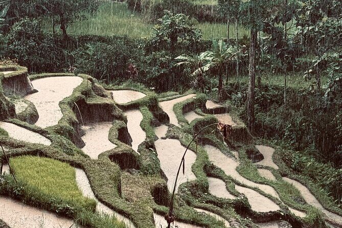 Ubud Top Tours to Discover Balis Cultural and Natural Wonders - Discover Bali’s Cultural and Natural Wonders with a Private Ubud Day Tour