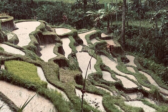 Ubud Top Tours to Discover Balis Cultural and Natural Wonders - Authentic Experiences and Practical Value