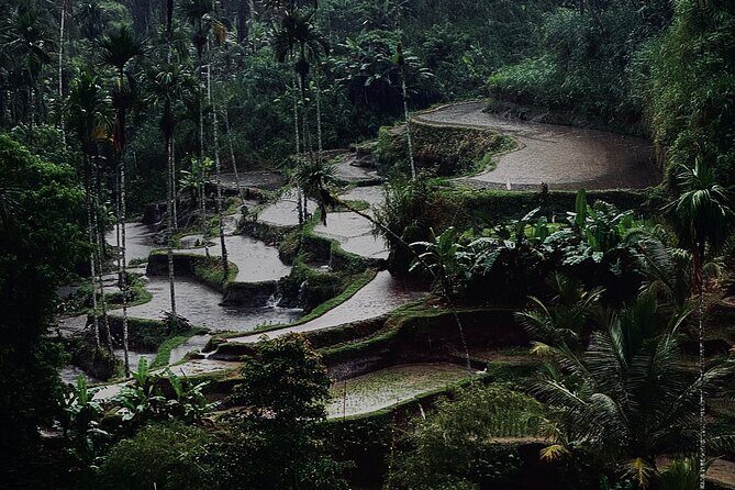 Ubud Top Tours to Discover Balis Cultural and Natural Wonders - FAQs