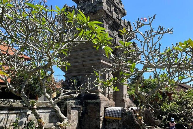 Ubud Tour - Highlight of Ubud - Traditional Tour - Who Will Love This Tour?